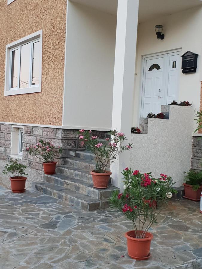 OrşovaPretty Garden别墅 外观 照片