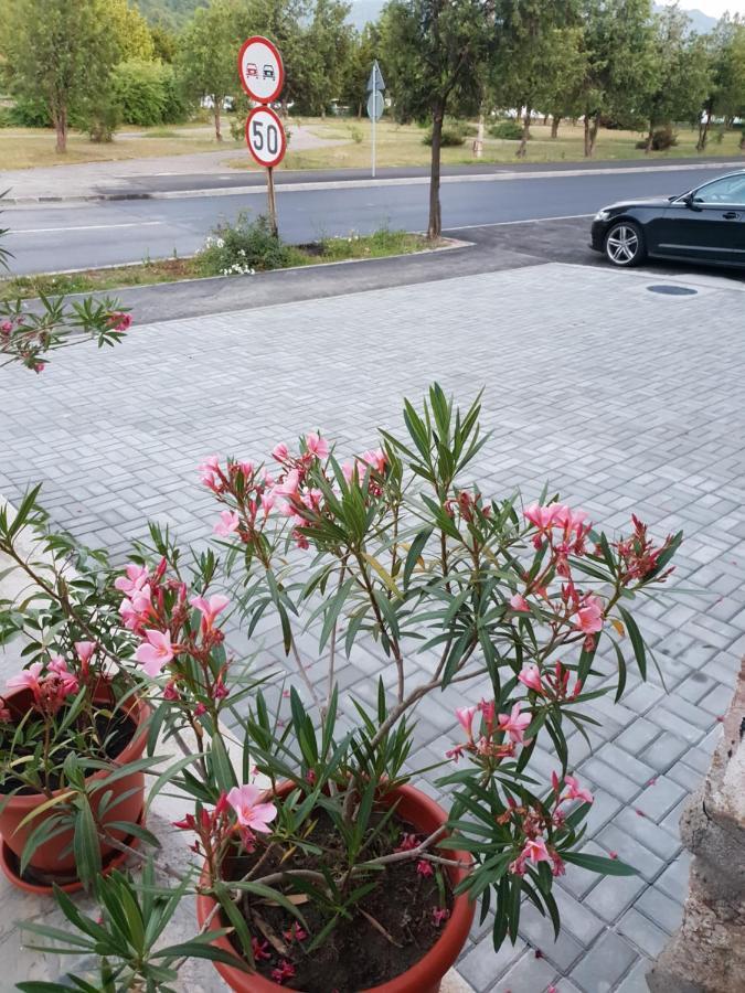 OrşovaPretty Garden别墅 外观 照片